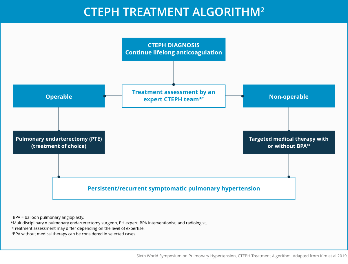 Sixth World Symposium on Pulmonary Hypertension CTEPH Treatment Algorithm