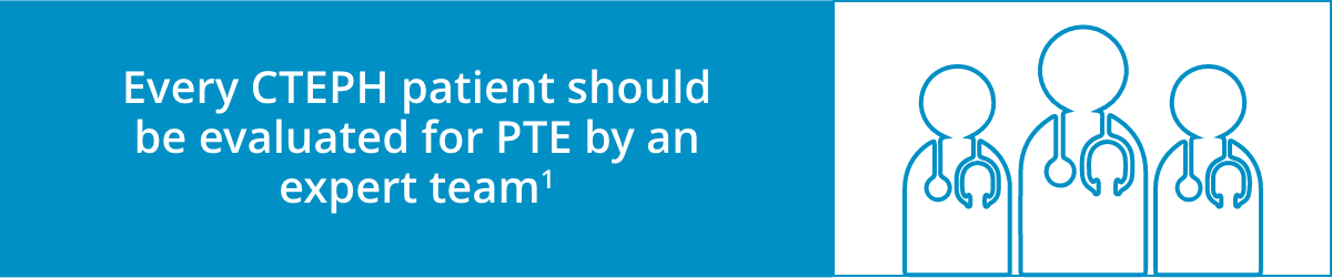 Expert Team Expert Team